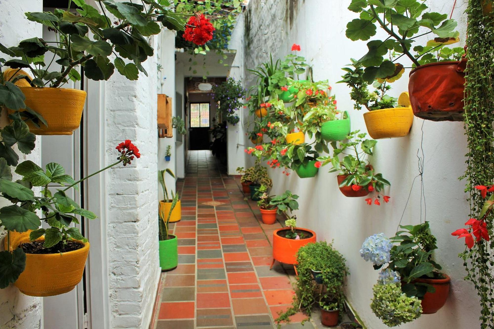 Hospedaje Los Capuchinos ソコロ エクステリア 写真